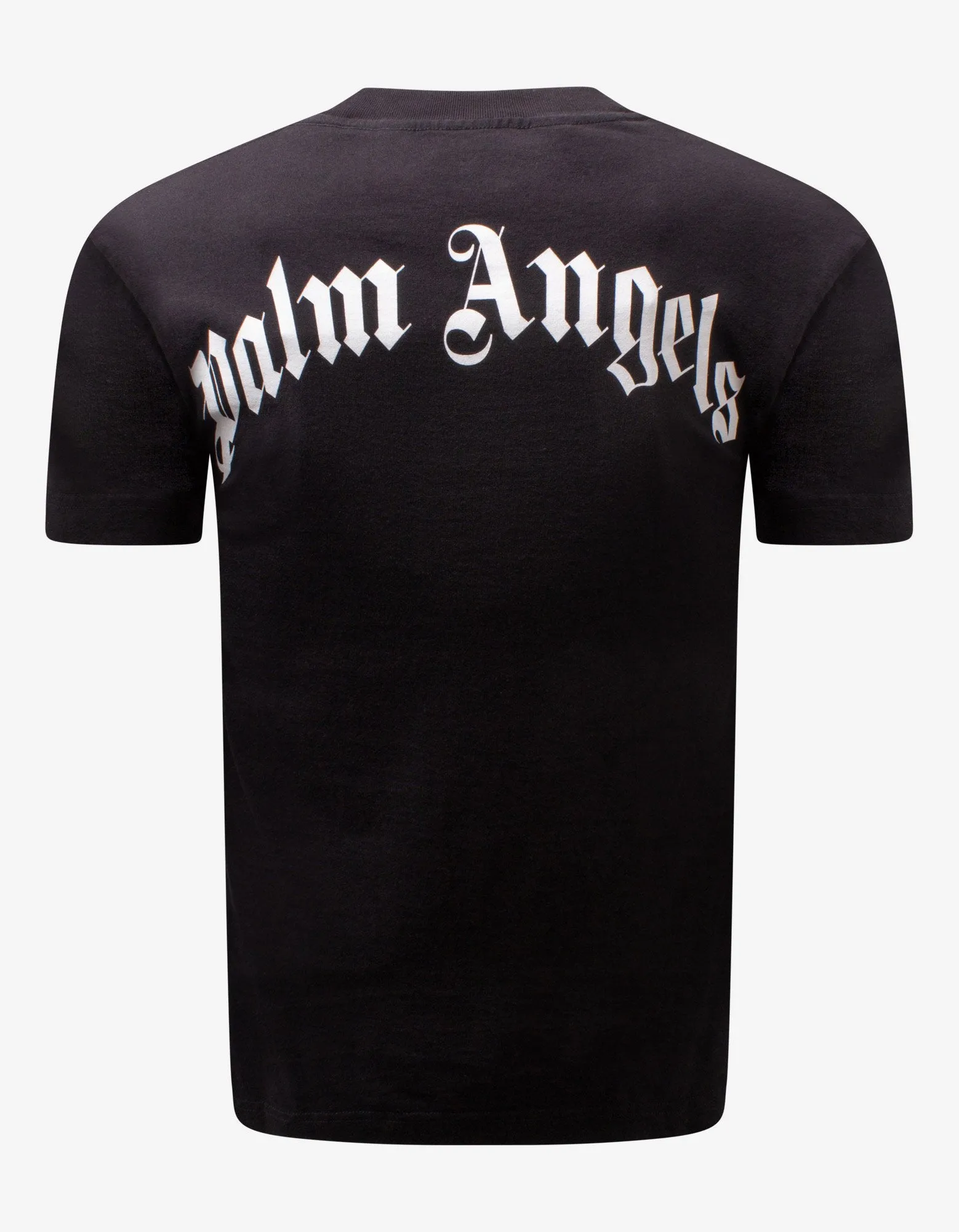 Black Ice Bear Print T-Shirt