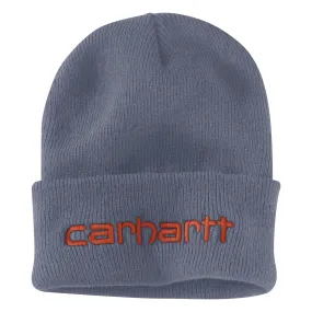 Carhartt KNIT INSULATED LOGO Graphic Beanie Carhartt KNIT INSULATED LOGO Graphic Beanie
