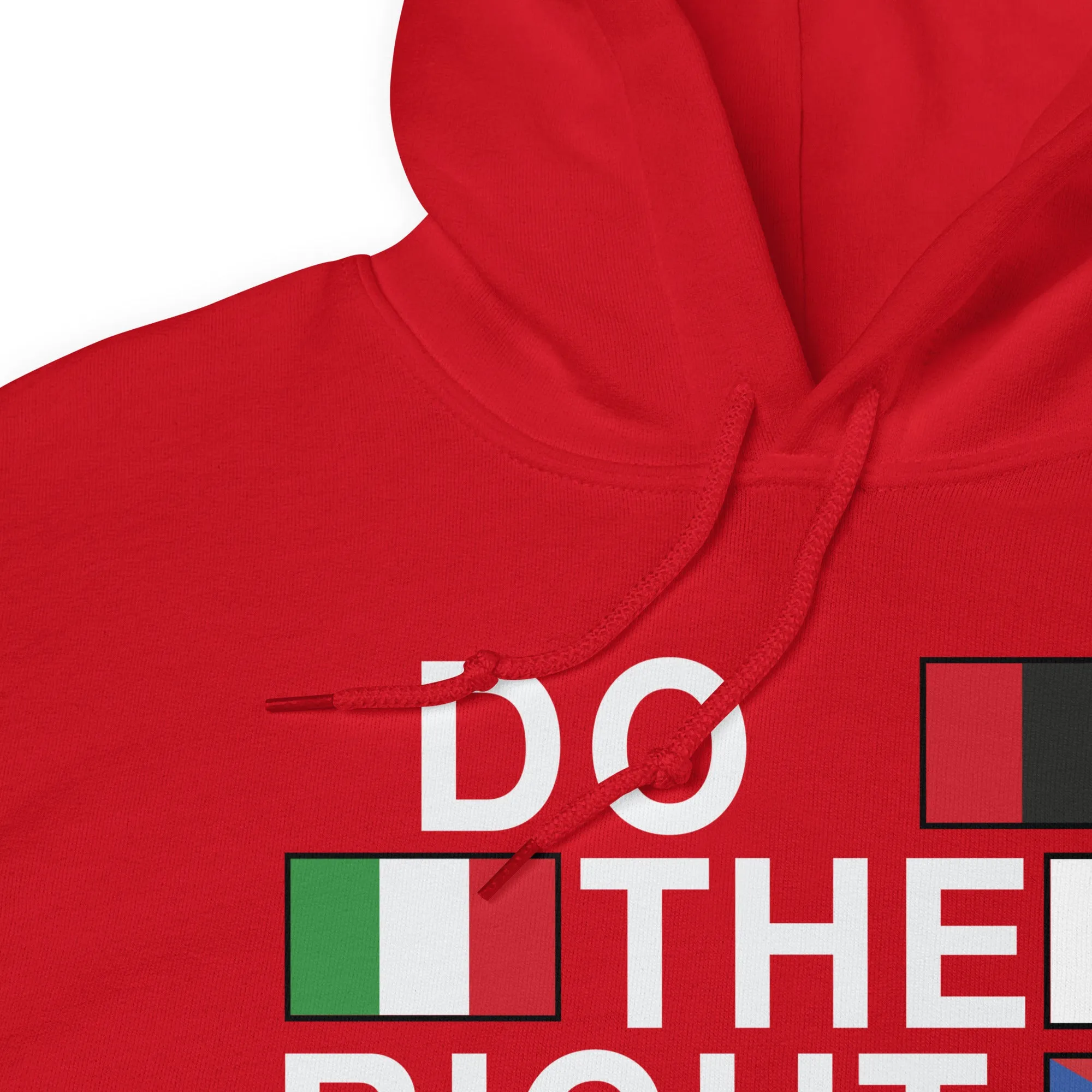 Do The Right Thing Flag Hoodie (Red)