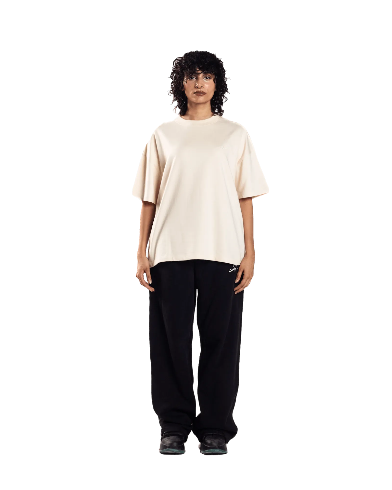 EMBROIDERED BEIGE MADE IN PAK T-SHIRT (v1)