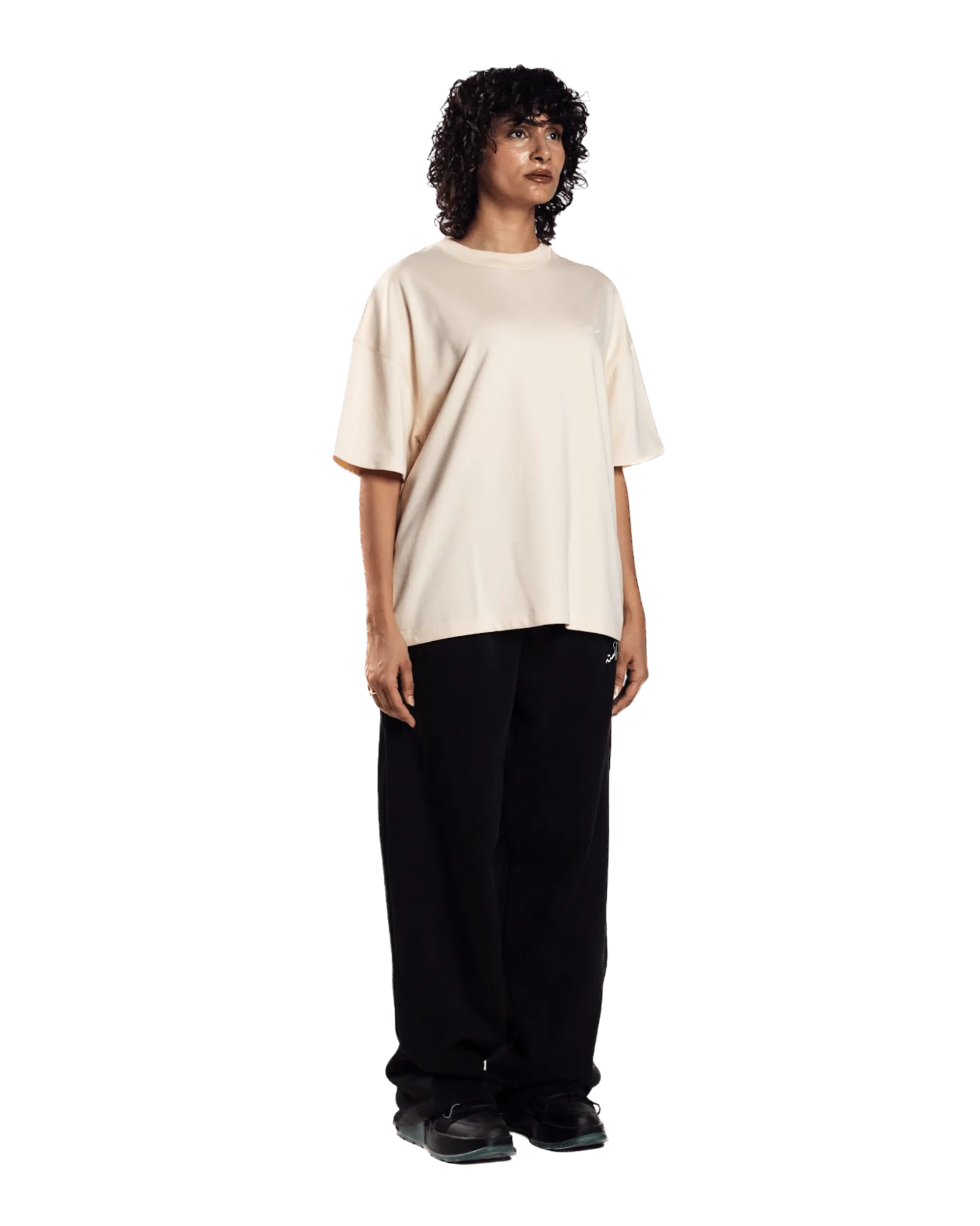 EMBROIDERED BEIGE MADE IN PAK T-SHIRT (v1)