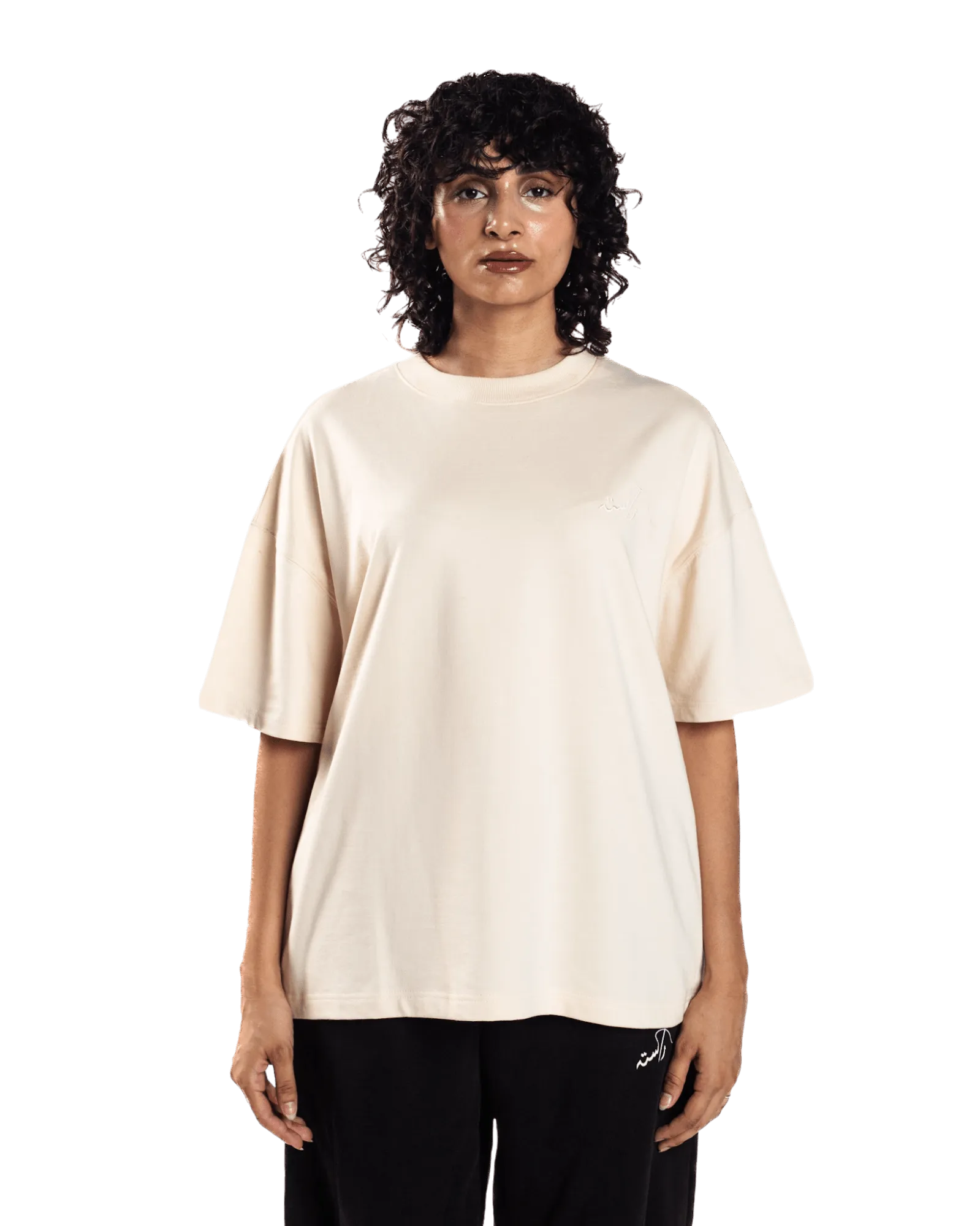 EMBROIDERED BEIGE MADE IN PAK T-SHIRT (v1)