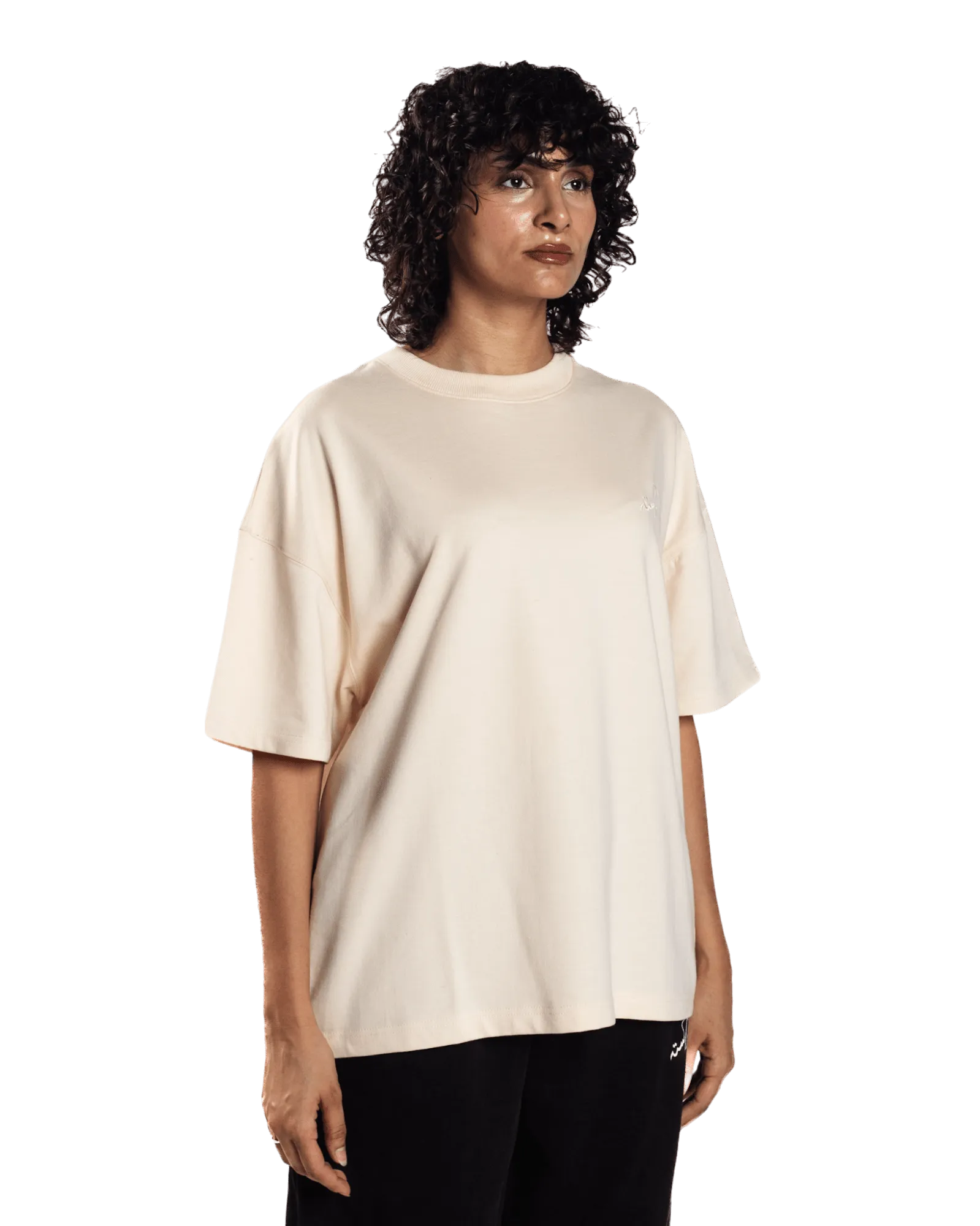 EMBROIDERED BEIGE MADE IN PAK T-SHIRT (v1)