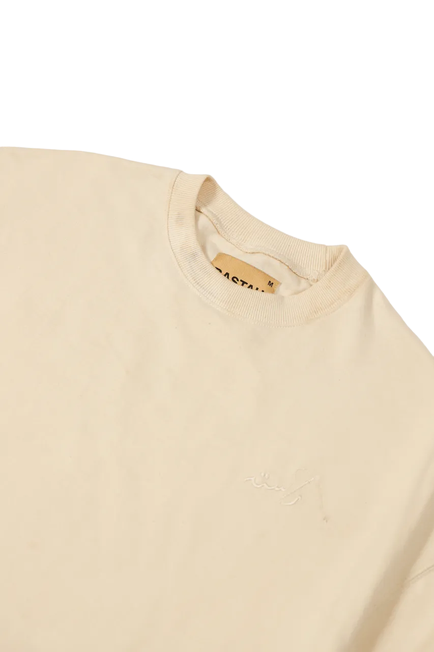 EMBROIDERED BEIGE MADE IN PAK T-SHIRT (v1)