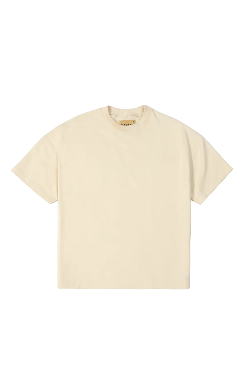 EMBROIDERED BEIGE MADE IN PAK T-SHIRT (v1)