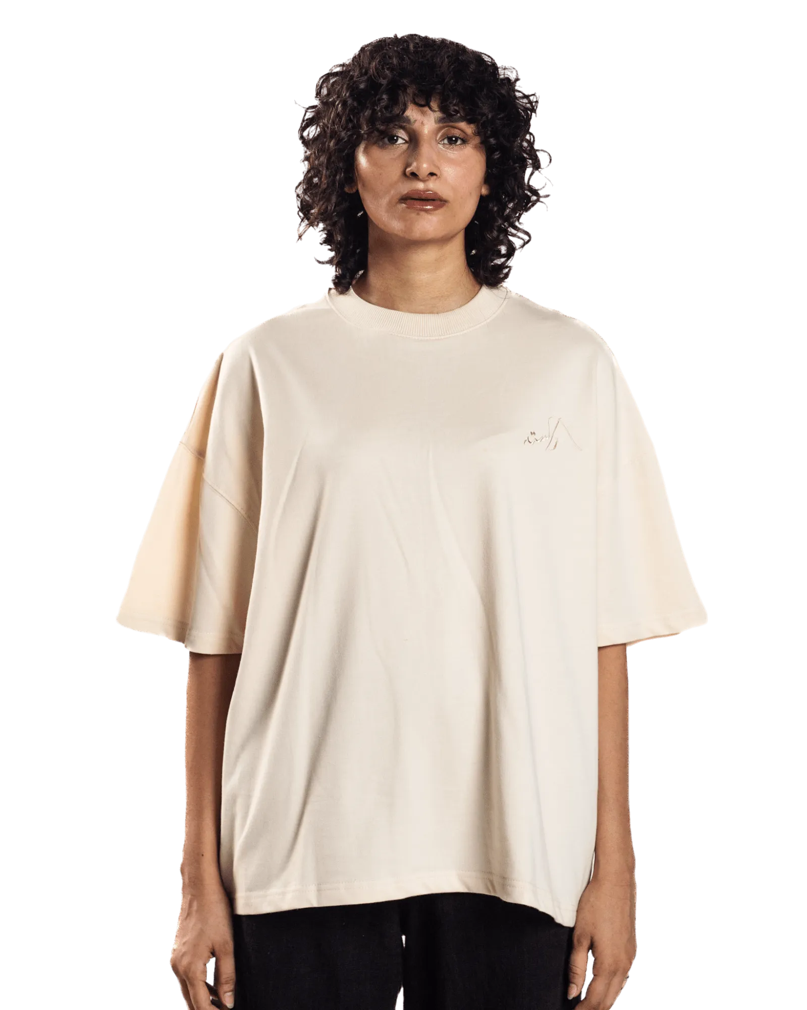 EMBROIDERED BEIGE MADE IN PAK T-SHIRT (v2)