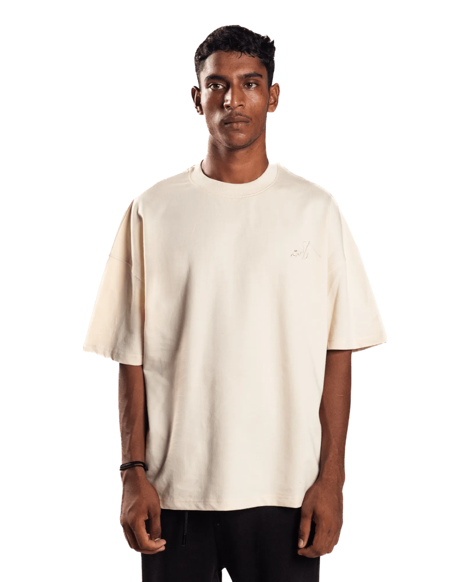 EMBROIDERED BEIGE MADE IN PAK T-SHIRT (v2)
