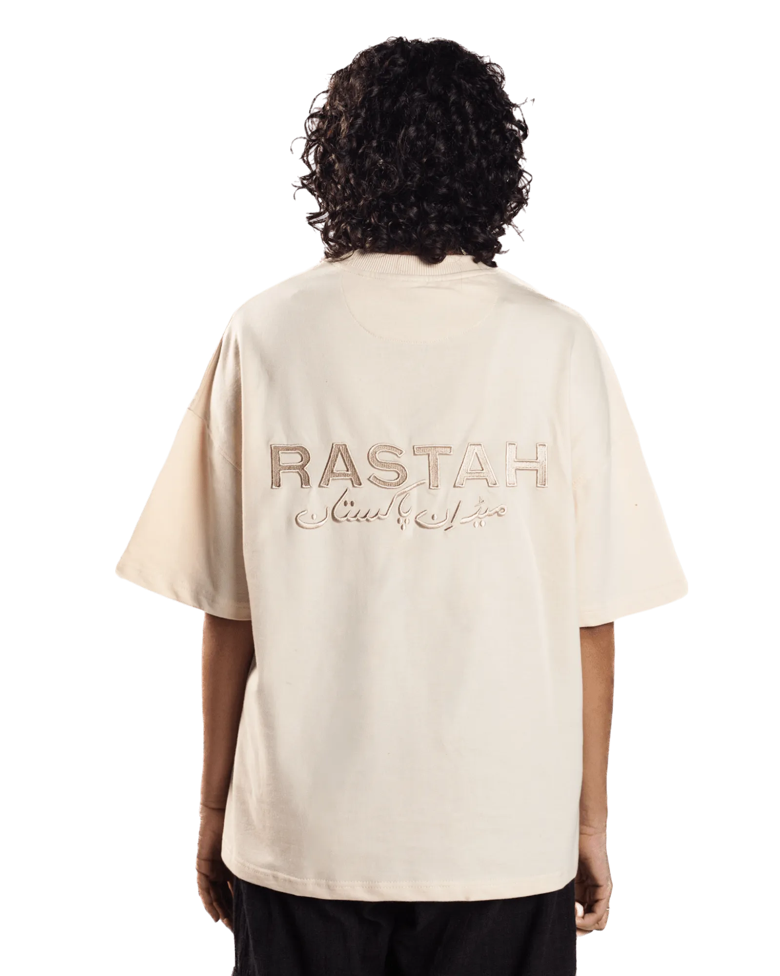EMBROIDERED BEIGE MADE IN PAK T-SHIRT (v2)