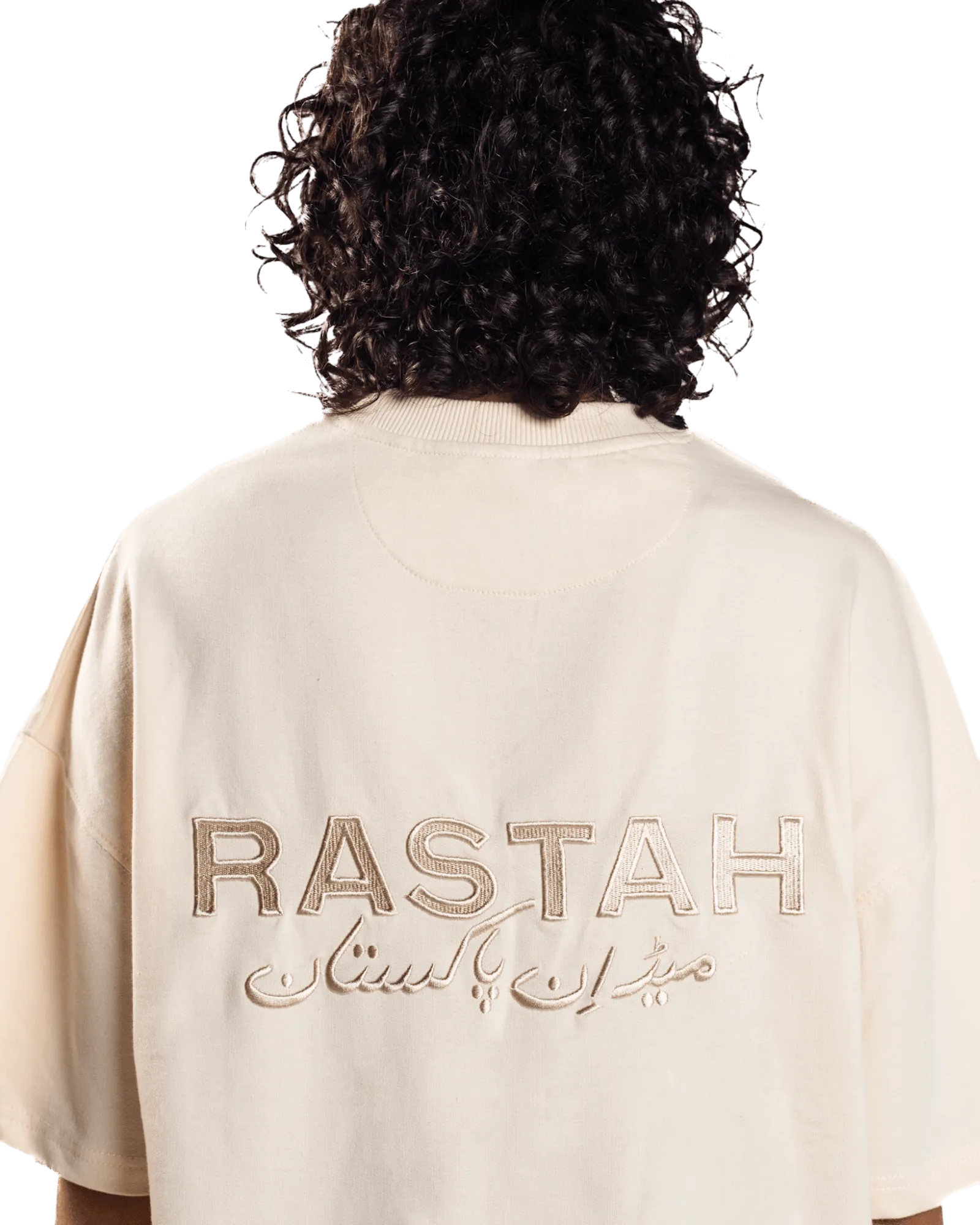 EMBROIDERED BEIGE MADE IN PAK T-SHIRT (v2)