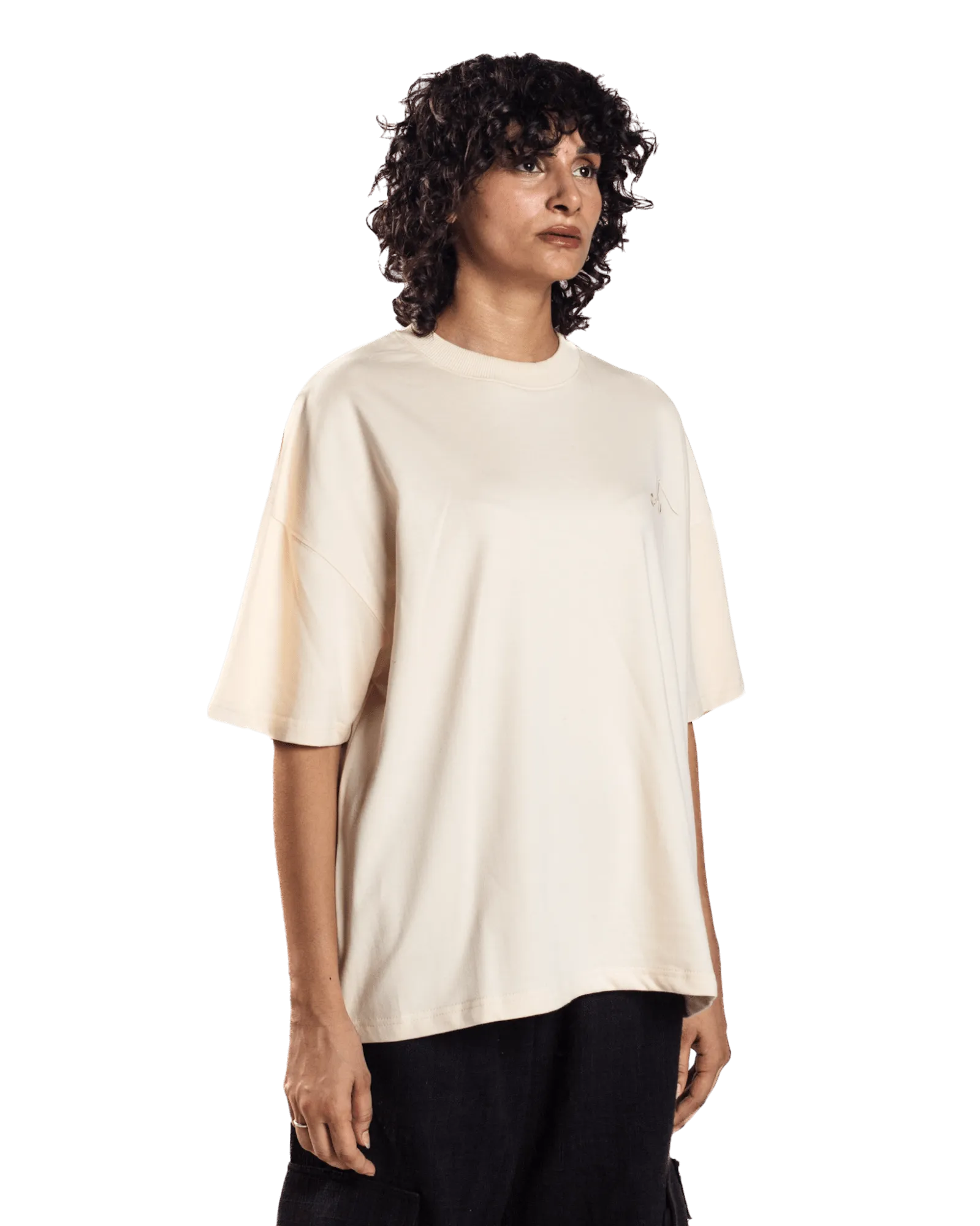 EMBROIDERED BEIGE MADE IN PAK T-SHIRT (v2)