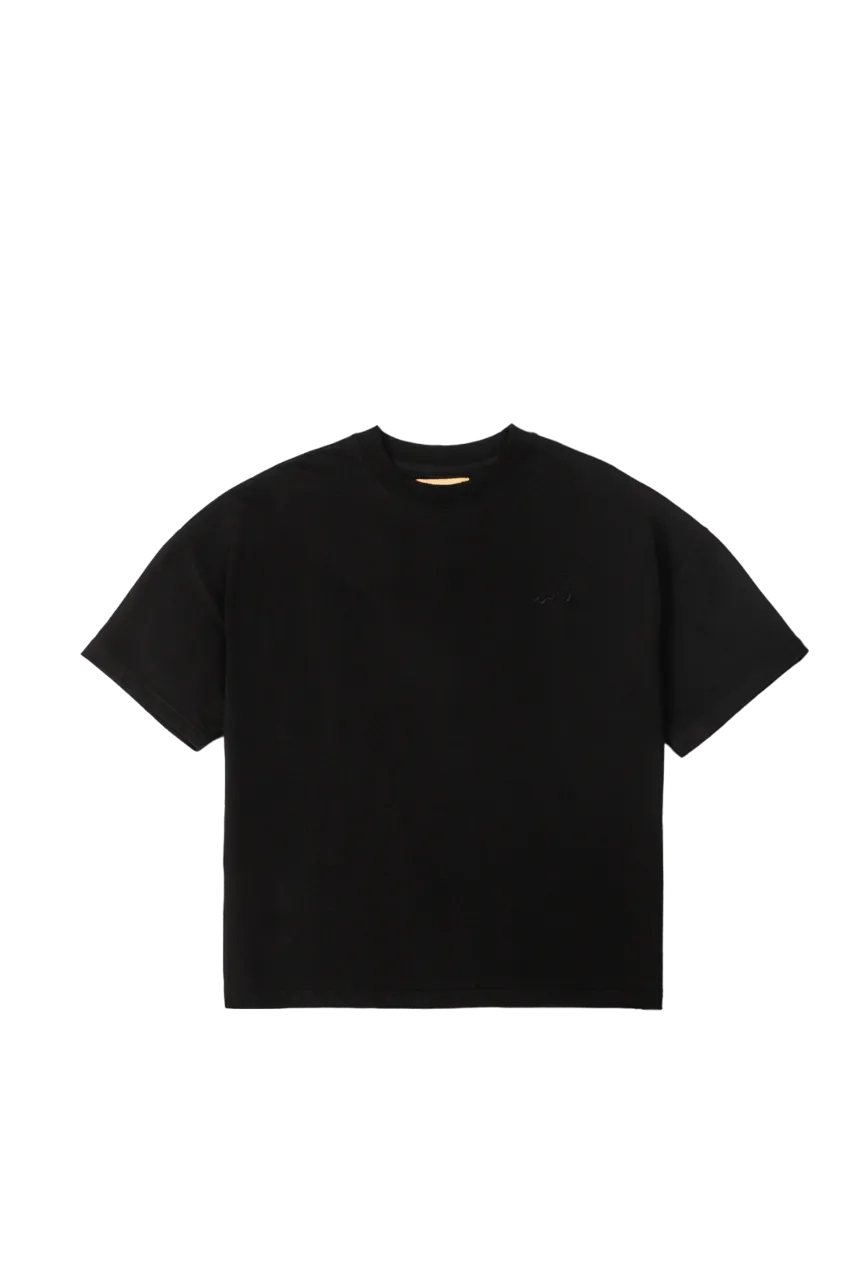 EMBROIDERED BLACK MADE IN PAK T-SHIRT (v2)
