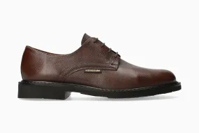 Marlon - Chestnut Marlon - Chestnut