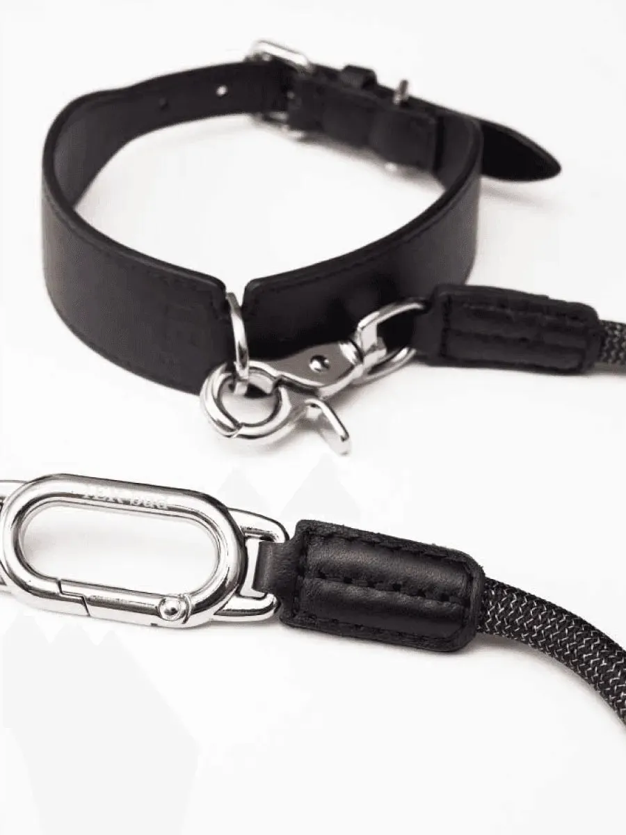 Multifunctional Designer Dog Leash