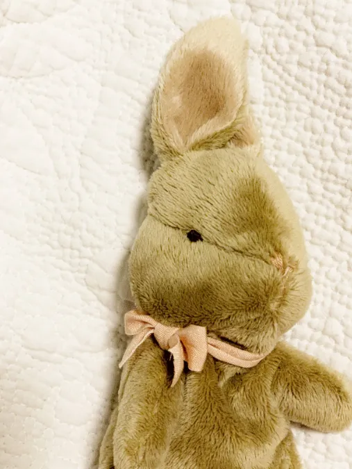 My First Bunny  - blue